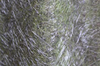 Staffordshire fibreglass roof work